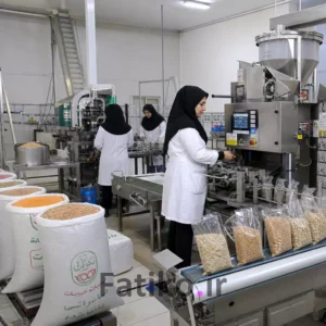 چطور یک خط تولید کوچک با سرمایه کم راه بیندازیم؟